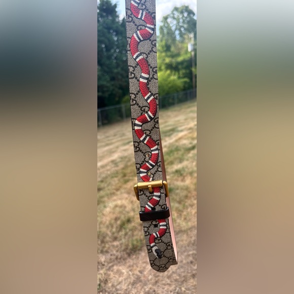 Gucci Belt Men’s Double Gs Snake Embellishment with Gold hardware with COA - Picture 11 of 12